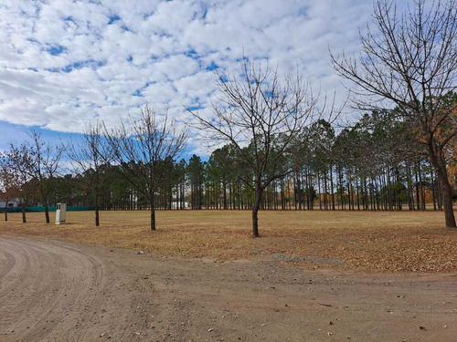 Imagen 4 de 13 de Terreno En Venta Chacras De La Villa