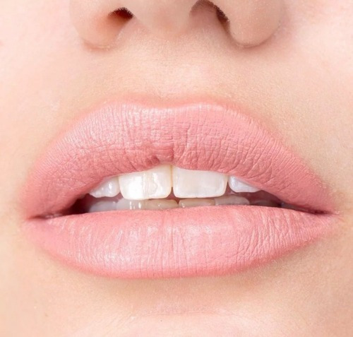Imagen 2 de 4 de Labial Bálsamo Lipstick Balm Volumen Maquillaje Regina Artemisa - Nude Rosado Traslúcido