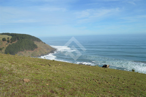 Sitio En Venta En Vichuquén