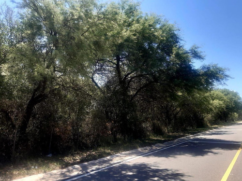 Imagen 8 de 23 de 76 Hectareas En Venta En El Corazon De Conlara, Traslasierras!!