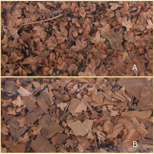 Material De Construcción De Hojas De Simulación, Estilo A