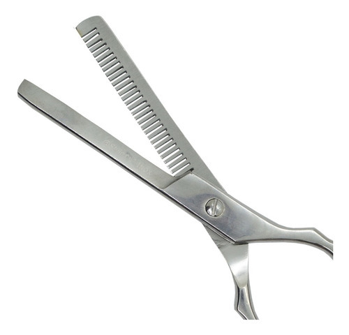 Style.cut Tijera De Pulir Profesional 5.5 E1001t Pelo Local