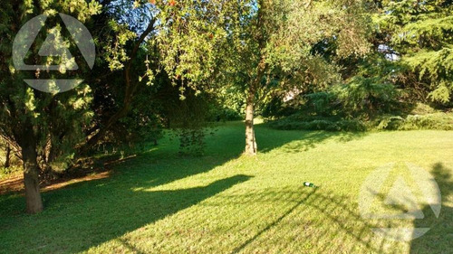 Imagen 3 de 6 de Terreno - Luis Guillon