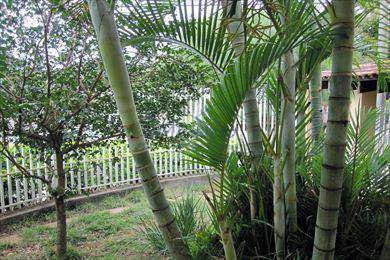 Imagem 21 de 30 de Sobrado Com 3 Dorms, Jardim Do Lago, Pirassununga - R$ 650 Mil, Cod: 30600 - V30600