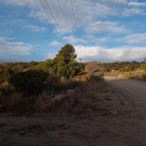 Venta De 20 Hectáreas Sobre Ruta En Tala Cañada...ref 1557