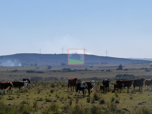 Imagen 8 de 30 de 79 Hás Campo Criador Y Serrano En Corte De La Leña