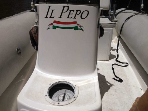 Semirrigido Viking 490 C/motor Mercury 50
