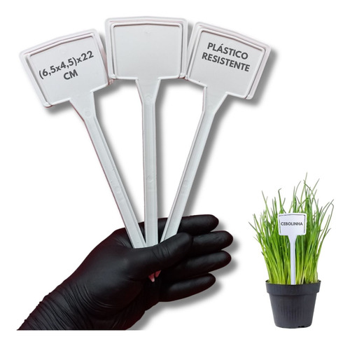 Kit 50 Plaquinhas 22cm Para Identificação De Plantas Hortas