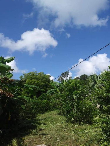 Imagen 12 de 15 de Rancho En Venta En Tunkas Yucatan