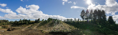 Puerto Varas Departamentos Uf 3.150 - Parque Tres Volcanes