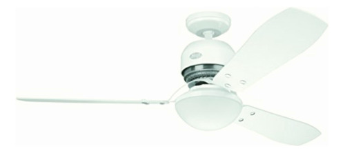 Hunter Fan 20251 Ventilador Lite Industrie, 1 Luz, 3 Aspas,