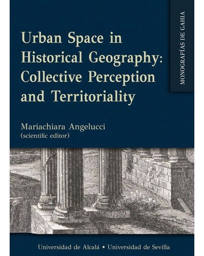 Libro Urban Space In Historical Geography Collective Perc...