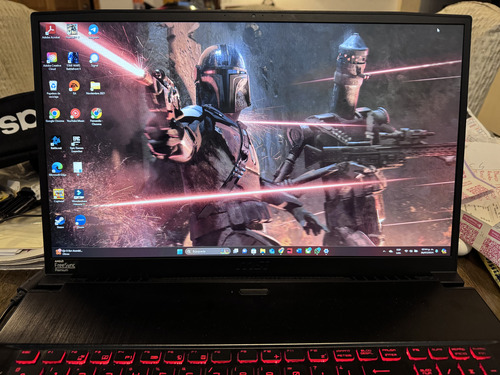 Msi Bravo 17 (Usado)
