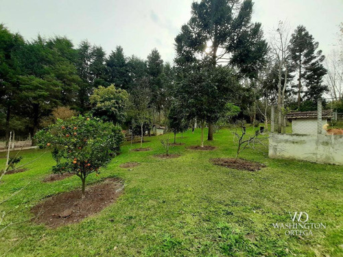Imagem 26 de 30 de Chácara Com 2 Dormitórios À Venda, 37784 M² Por R$ 660.000,00 - Rio De Una - São José Dos Pinhais/pr - Ch0071
