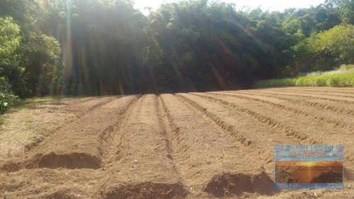 Imagem 15 de 23 de Terreno À Venda - Vila Nova - Porto Alegre/rs - Te0153