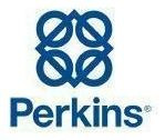 Imagem 3 de 3 de Elemento De Filtro Lubrificante Perkins Genuino 2654407