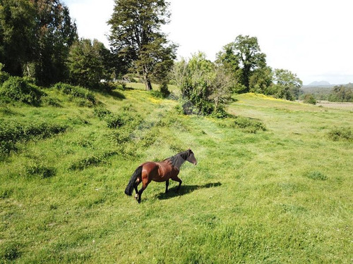 Sitio En Venta En Vilcún-araucania