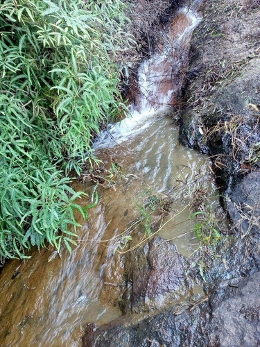 Imagem 8 de 15 de Terreno Condomínio Para Venda - 6765