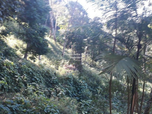 Imagem 5 de 5 de Vende-se Sítio Bairro Tevó - Km 50,5- Santa Isabel- Sp 841
