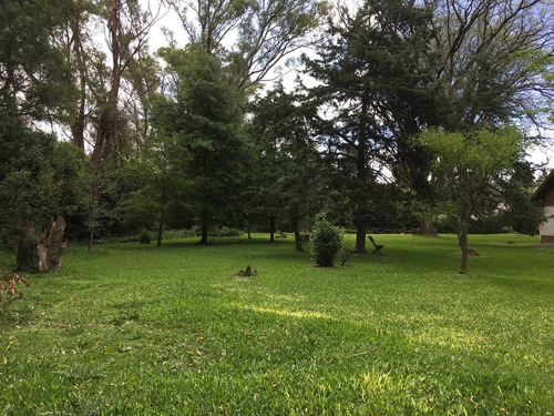 Imagen 2 de 2 de Venta De Lote 30x 60, Villa Elisa