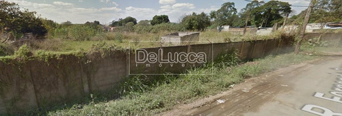 Imagem 7 de 8 de Área À Venda Em Recanto Fortuna - Ar002947