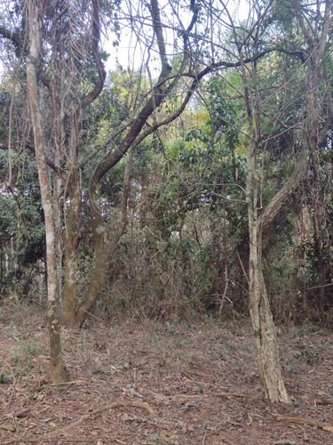 Imagem 7 de 14 de D20- Lotes Em Santa Isabel 1.000m2 Apenas 60mil A Vista