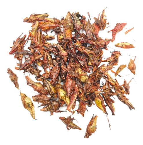 Chapulines Oaxaca Sabor A Elegir 10 Bolsas De 30gr C/u 