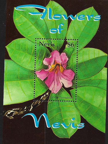 #8169 Nevis 2007 Flores Flora Hoja Bl Yv Bl 272 Mnh