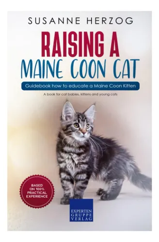 Libro: Guía Para Criar Un Gato Maine Coon: Cómo Educar A Un