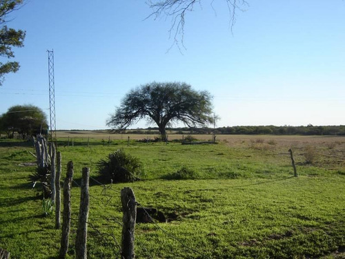 Imagen 2 de 19 de Campo En Venta, Villaguay, Entre Ríos