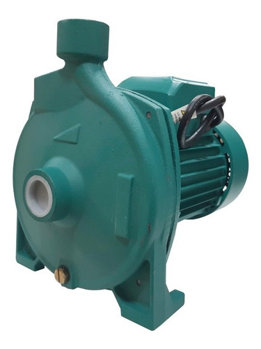 Bomba 220v Centrifuga 1hp 1 Pulgada 110 L/min 1150w