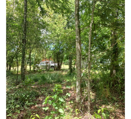 Venta / 2 Parcelas Molco - Una Con Casa / Ambas O Separadas