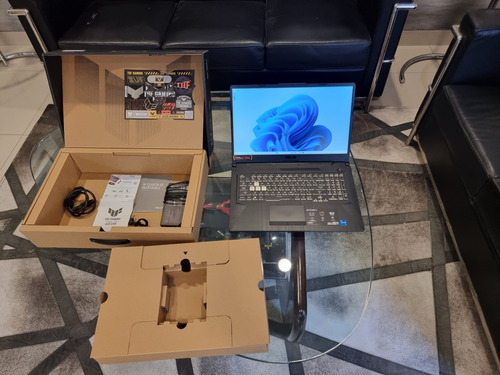 Asus Tuf F17 706heb Intel Core I7 512 Gb (Usado)