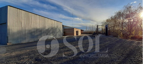 Imagen 23 de 30 de Galpón 1500 M2 En Allen