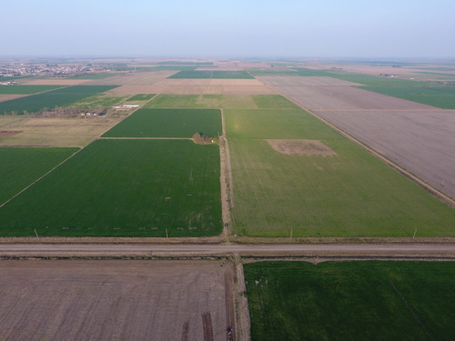 Venta Campo Pilar Santa, Fe. 33 Hectáreas Agrícolas.