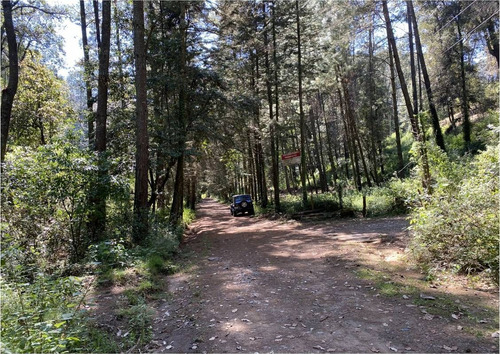 Terreno En Venta En Temascaltepec.