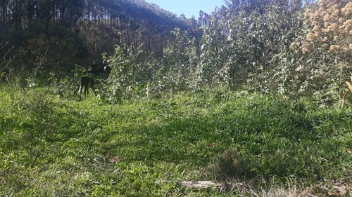 Imagem 7 de 17 de Linda Sitio Em Caçapava Com Ótimo Acesso A Via Dutra - Ar0010