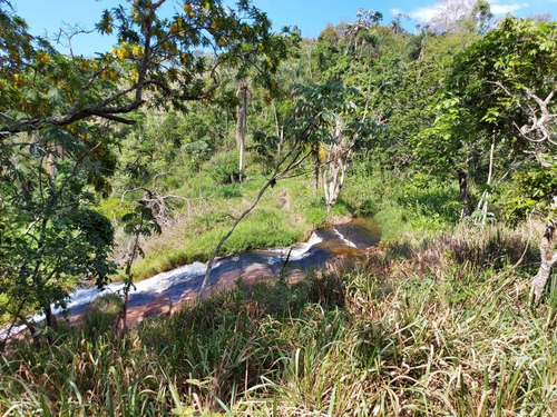 Imagem 19 de 30 de 03o-terreno A Venda Em Igarata
