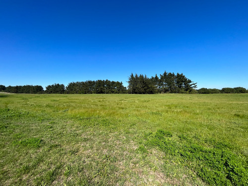 Sitio En Venta Sector E, Las Brisas De Santo Domingo