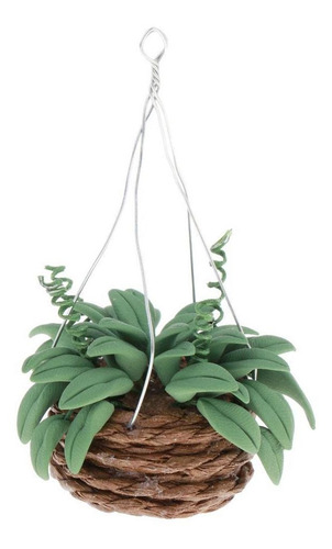 2 :12 Casa De Muñecas Planta En Miniatura En Cesta Colgante
