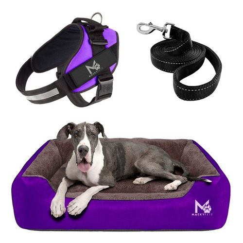 Super Combo / Cama Perros 3xl + Pechera 2xl + Paseador 