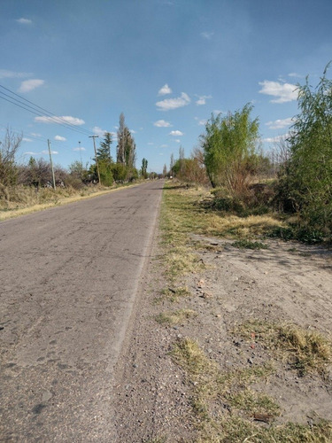 Imagen 12 de 13 de Vendo Finca 5.5 Hectareas A Tranquera Cerrada