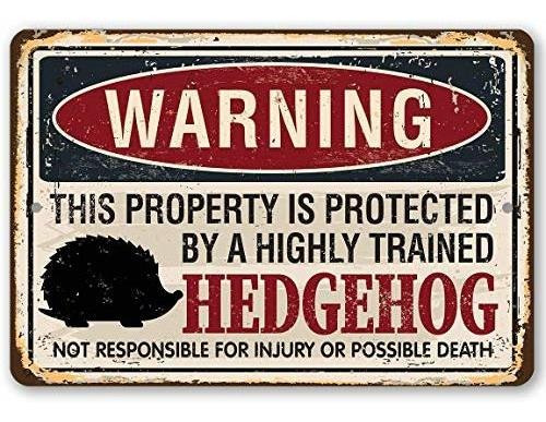 Letrero De Metal - Propiedad De Advertencia Protegida Por Er