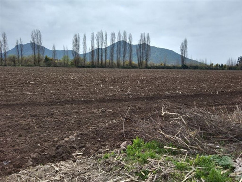 Sector Pencahue| (74921)