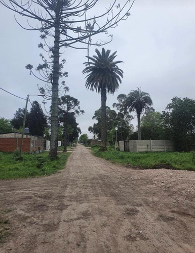 Imagen 4 de 4 de Terreno - B.rayo De Sol