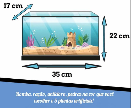 Aquario Completo Para Peixe Betta Com Bomba