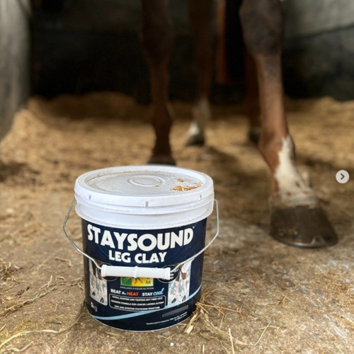 Barro Frío Staysound 5 Kg - Calmante Refrescante Caballos