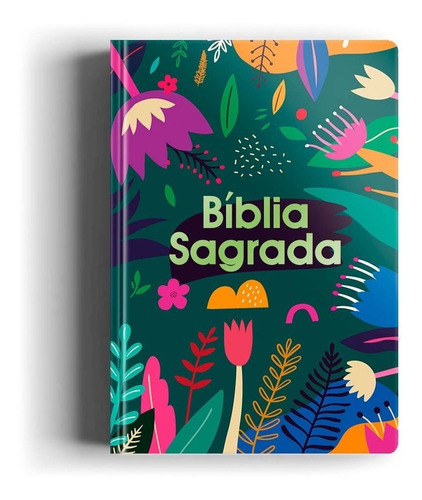 Bíblia Sagrada Nvt Capa Dura Letra Grande Tarde Colorida, De Nova Versão Transformadora., Vol. 1. Editora Geográfica, Capa Dura Em Português, 2023