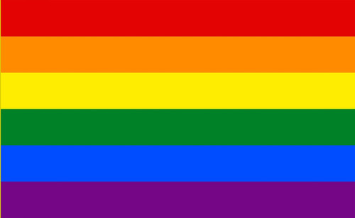 Bandeira Lgbt 90x60cm Dupla Face Sublimado Dois Panos