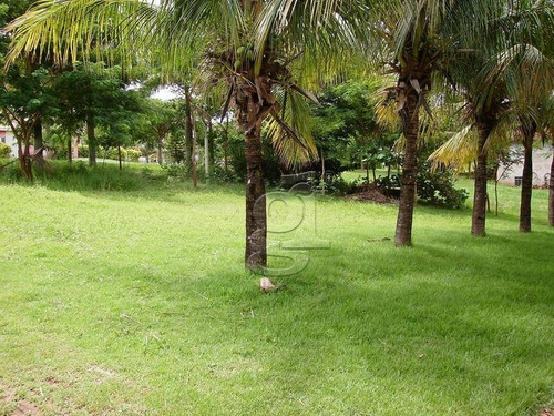 Chácara, Com Casa De 3 Dormitórios À Venda, 4775 M² Por R$ 550.000 - Centro - Porecatu/pr - Ch0016